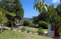 Cottage Garden View